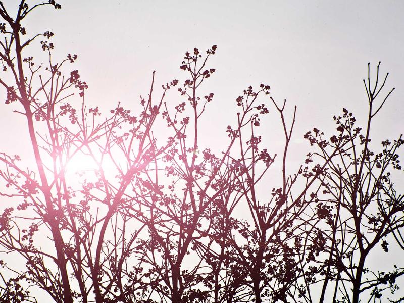 sudoku number placement screenshot 1